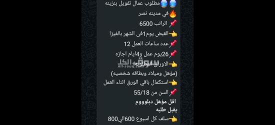 مطلوب عمال فويله بنزينه
