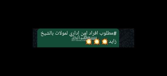 #مطلوب افراد امن إداري لمولات بالشيخ زايد💥💥💥