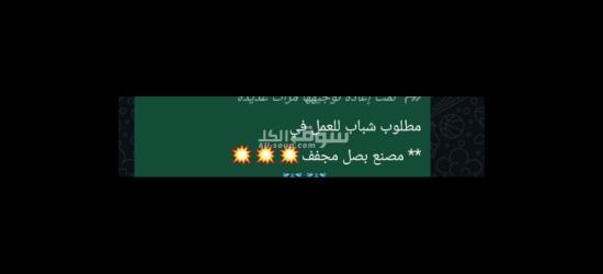 مطلوب شباب للعمل ف مصنع بصل مجفف