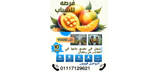 مطلوب عمال انتاج لمصنع مانجا