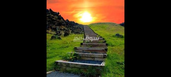مطلوب افراد امن