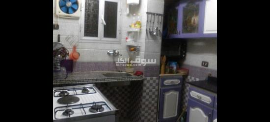 العزيز بالله حدائق الزيتون القاهرة - 3