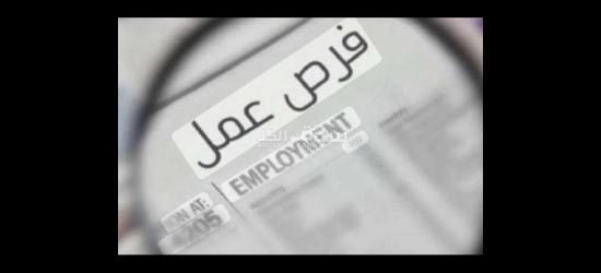 الحق شغل التقديم بالبطاقة فقط