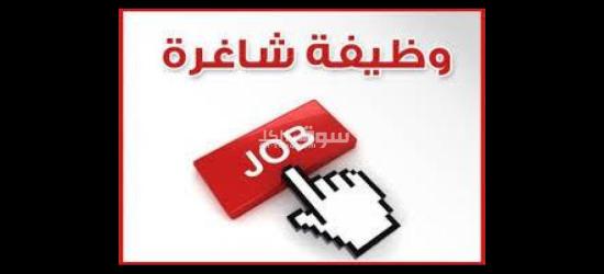 مطلوب شباب للعمل