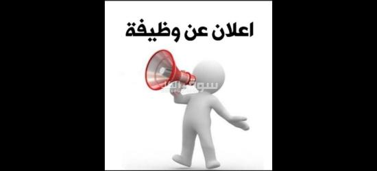 وظيفة فرد أمن فى المعادى - 1