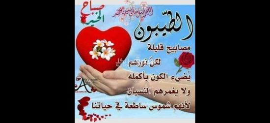 وظيفة فرد امن ف الساحل