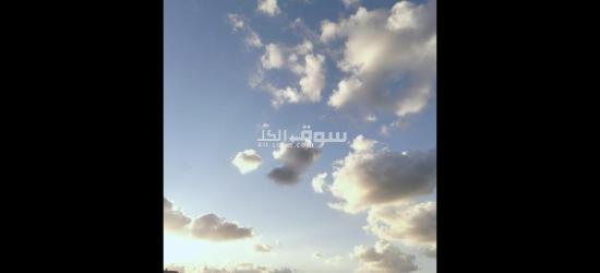 شغل كول سنتر.