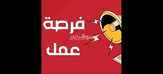 فرص عمل متميزة