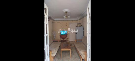 شارع محمد نبيل _ميامي _قصر الوليد - 6