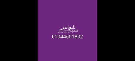 المعادي