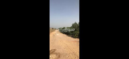 أرض زراعية للببع تصلح لجميع الأغراض