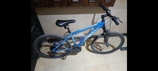 المعادي صقر قريش البحث الجنائي عمارة 2 - 3