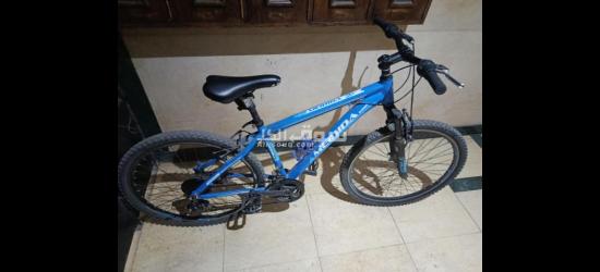 المعادي صقر قريش البحث الجنائي عمارة 2 - 4