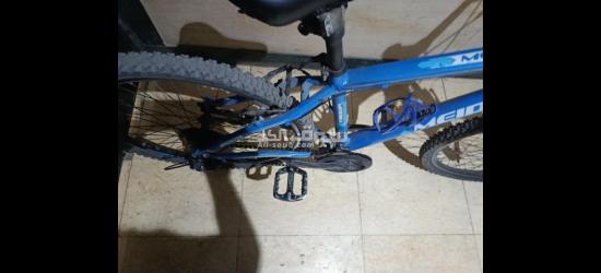 المعادي صقر قريش البحث الجنائي عمارة 2 - 5