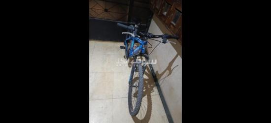 المعادي صقر قريش البحث الجنائي عمارة 2 - 6