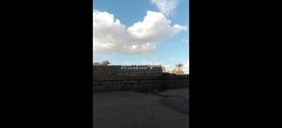 مطلوب عمال تعبئه وتغليف
