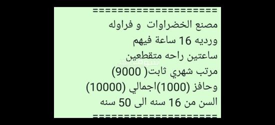 مصانع  مدينه السادات في المنوفيه