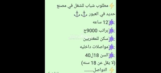 عمال لمصنع حديد بلعبور - 1