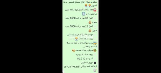 الحق فرصتك معانا في مصنع شيبسي ب6 اكتوبر