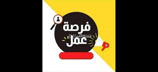 عمال لمصنع بطاطس