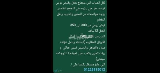 فرصة عمل جديدة