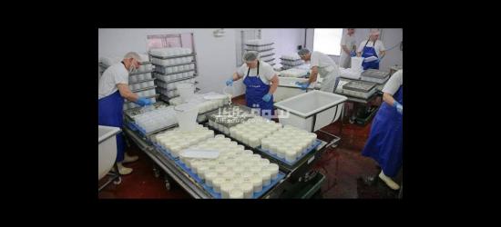 عمال لمصنع جبنه