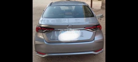 سنورس الفيوم - 4