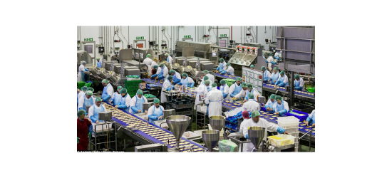 عمال انتاج في مصنع بلاستيك بالعبور