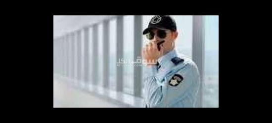 مطلوب أفراد أمن لمولات بالشيخ زايد