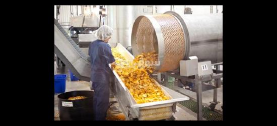 عمال إنتاج لمصنع شيبسي