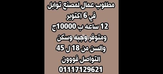 مطلوب شباب لمصنع توابل