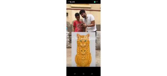 وظائف مطلوبة