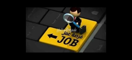 مطلوب عمال مصممه مواد غذائية