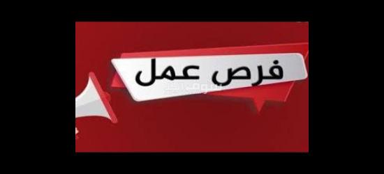 مطلوب عمال إنتاج لمصنع طماطم هارفست