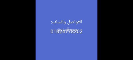 مطلوب فرد امن بمول القطامية