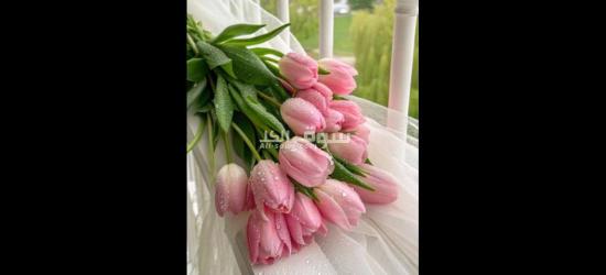 الجيزه واكتوبر