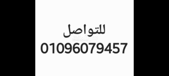 الجيزة ابو روايش