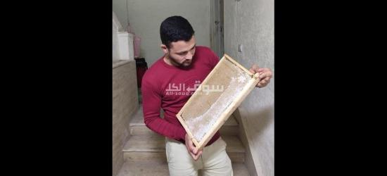 عسل نحل خام من منحلنا - 2