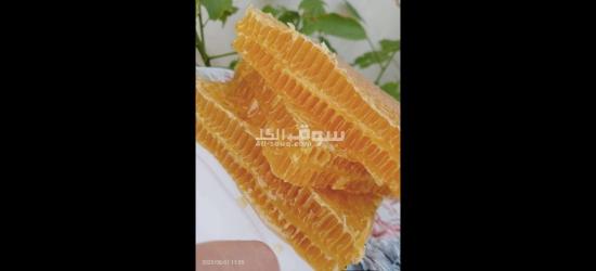 عسل نحل خام من منحلنا - 7