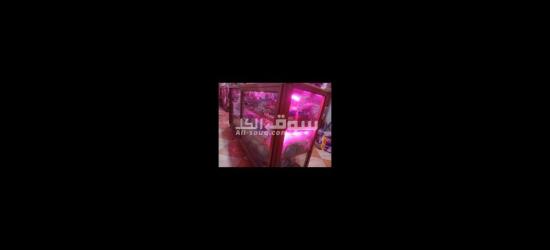 فاترينة ريون الوميتال محمل4 عجلات - 2