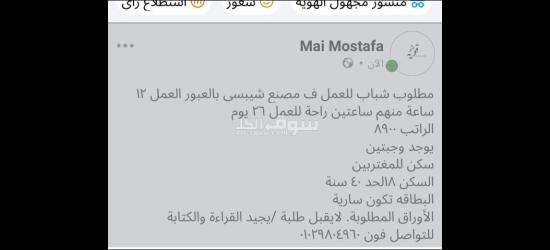 وظيفه لمصنع شيبسي بالعبور