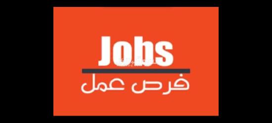 فرد امن بالقطاميه