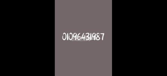 السن من ٢٠ الي ٥٥شباب فقط