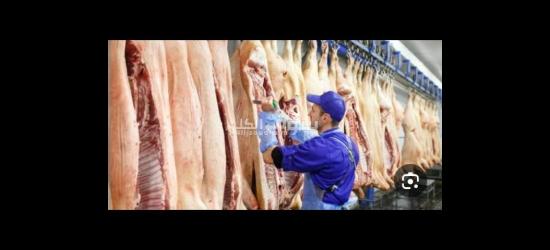 السن من 20 ل 55سنه  عامل انتاج