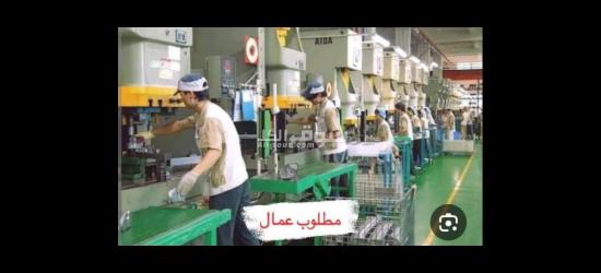 السن من 21 الي 45 فرصه لكل الشباب - 4