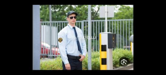 السن من 20 ل50 سنه فرصه لكل الشباب - 3